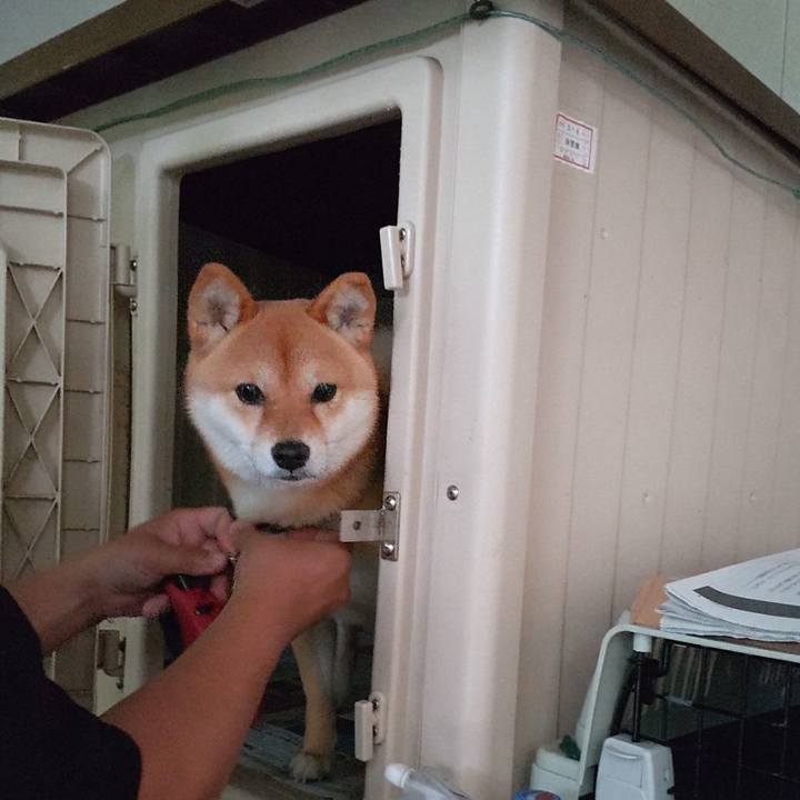 De0d1a64 f96d 445a 8292 8289c72db1cc 1763439639548