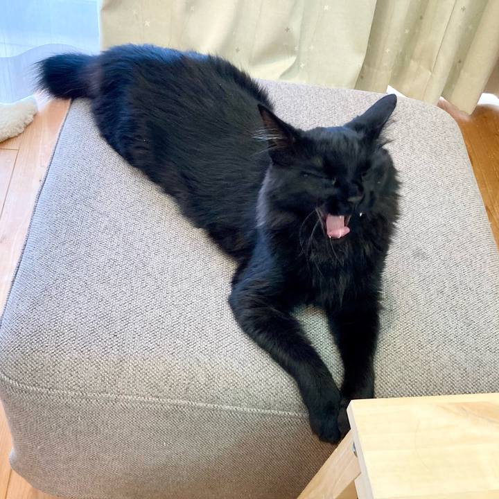 De0d7c18 aa24 4fcb 933e e81960ee380e 1749467509640