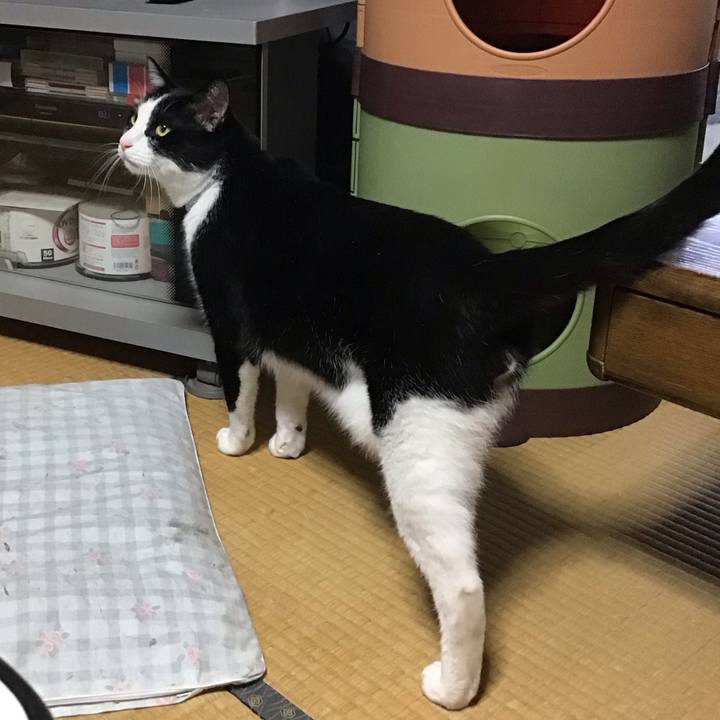 De0da4e9 c371 49a2 b462 806d6e394a97 1688644342799