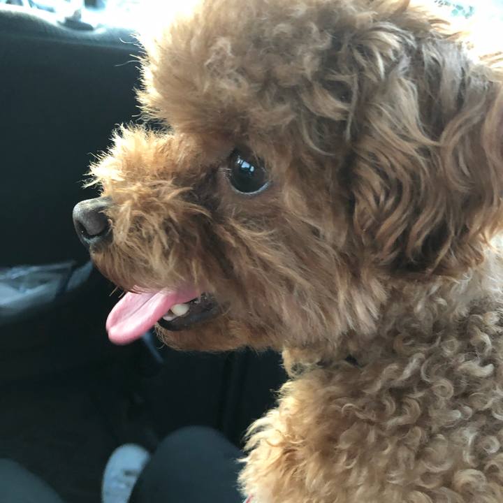 De0dfbb2 d2d6 4861 8972 e225038bdee8 1554454450342