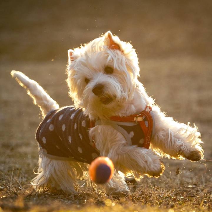 De0e2202 b718 4bfc b987 e84dfb960465 1515625082482