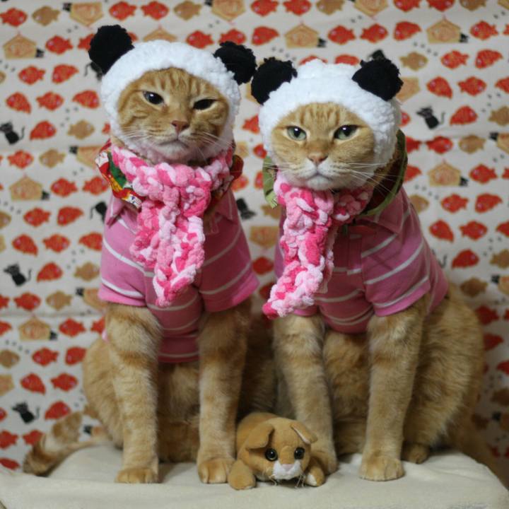 De0e2597 878d 4384 9925 89e5ed0cb464 1514446634491