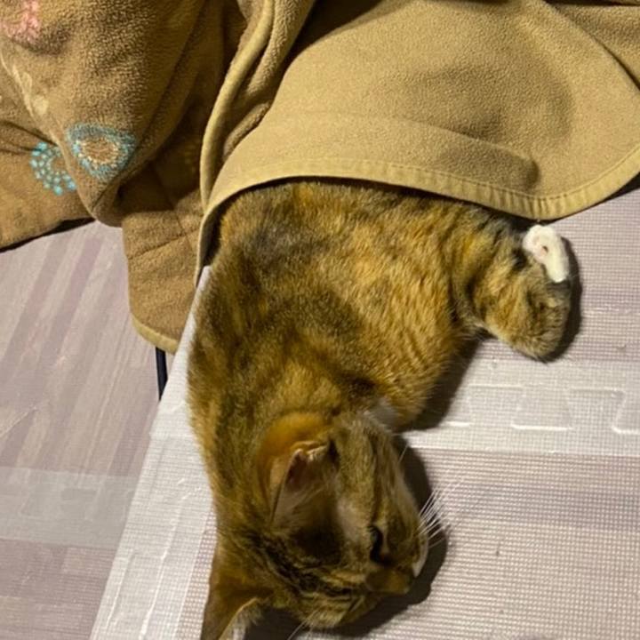 De0e3208 b38d 4e05 bdf5 1d8bb184efd3 1611488264337