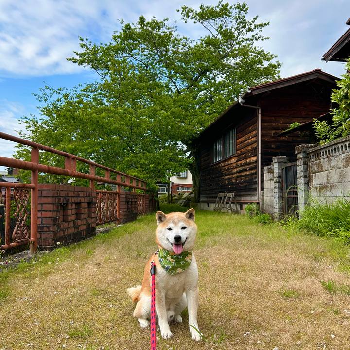 De0ecef6 77a7 4d24 8bca 2629233e22a8 1748602104007