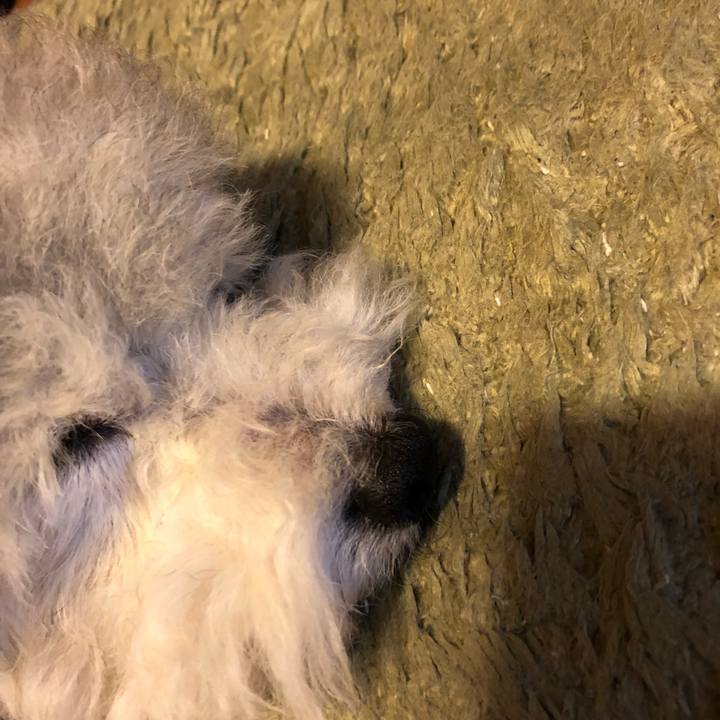 De0f038c be5b 41c1 af70 3a6d694b41e5 1533642516706