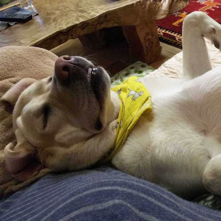 De0f5083 a09f 4bd9 9da2 9796f1a1e2de 1550048894671