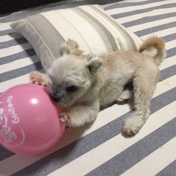 De0f514c e69a 40f6 bb77 4f60ad7fa39a 1539433508919