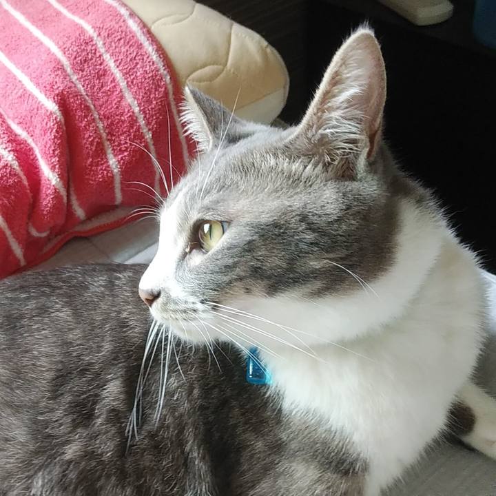 De0f66ad 52db 4639 8056 5d23704bdd03 1589236452233