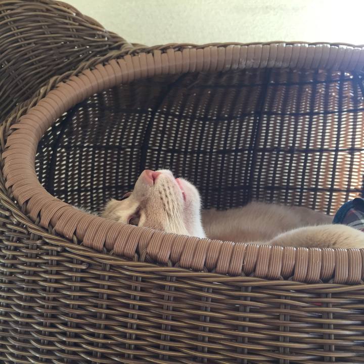 De0f820f 12e3 4700 89e8 1decc14b1462 1575893892011