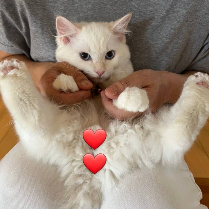 De0f9938 f290 46b3 b732 ecfa3a87f3e0 1657767242588