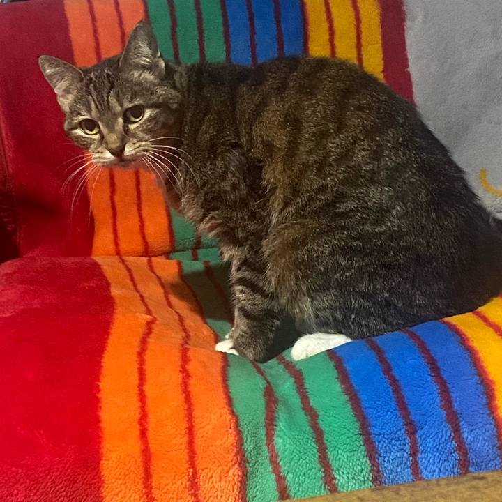 De0fb931 f580 4206 80c4 9f7c958e938f 1763672693849