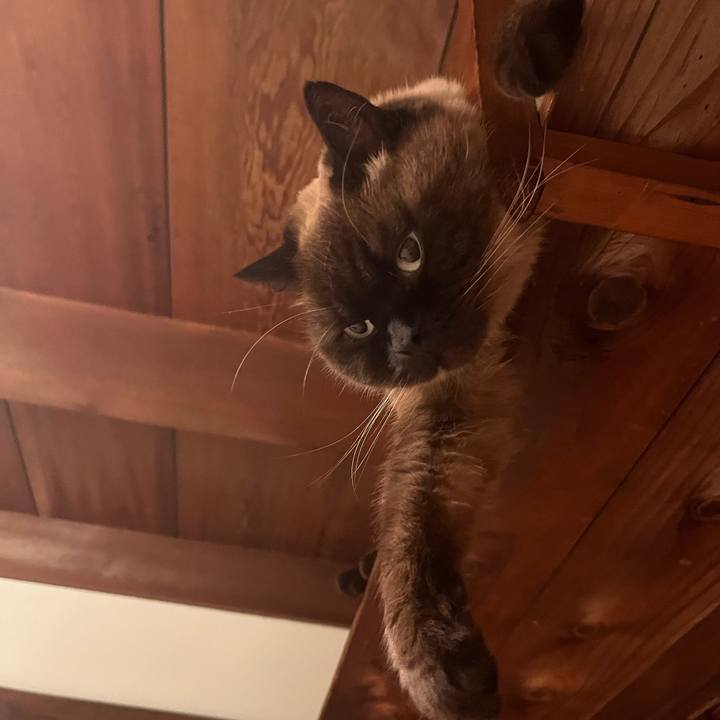 De10019f b8f2 4fc4 bf0e 67091f3a5cc6 1739410248761