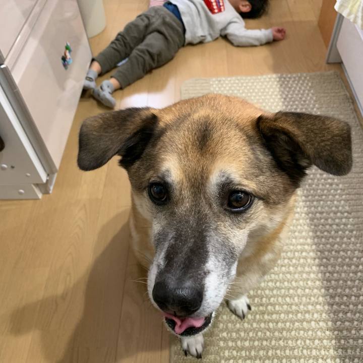 De100420 e3ca 4b11 83a7 207c0b0e9624 1548674440679