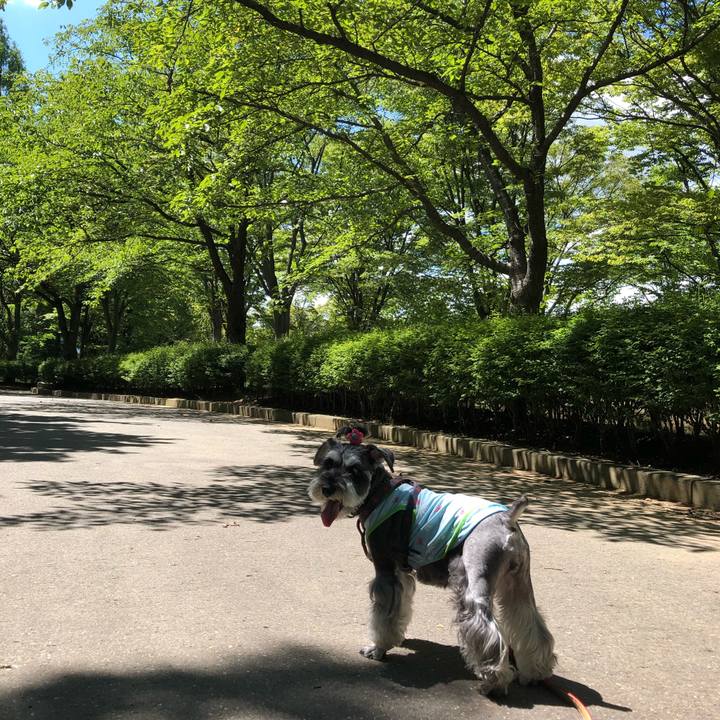 De100718 6135 41f5 9da6 c35ccdbaaa59 1660917354011