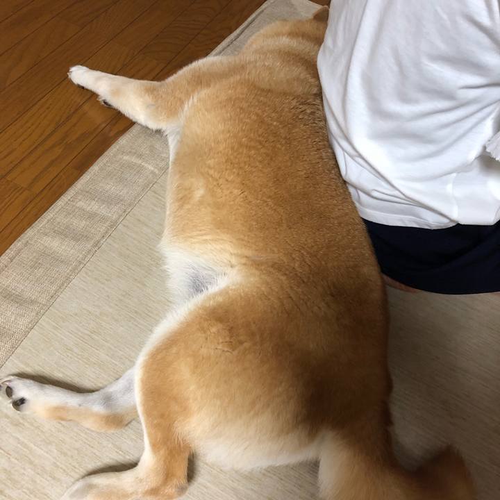 De103175 11d8 45b6 87ed e099c40ae1ff 1563620897787