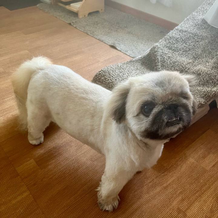 De103d4e 53f9 4cce b9eb 4178b250aaa8 1723584320257