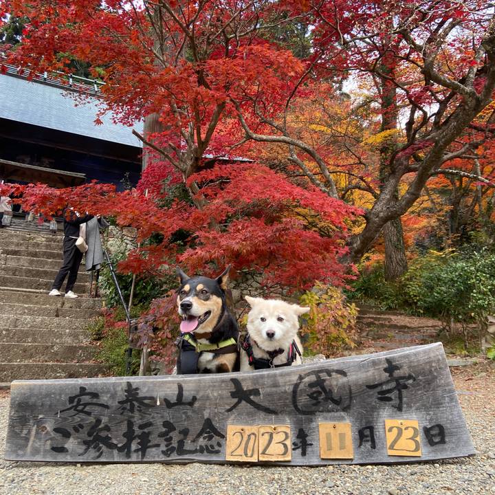 De108942 26c3 4c9f 9266 bdcaa9ed3fc7 1700877219985