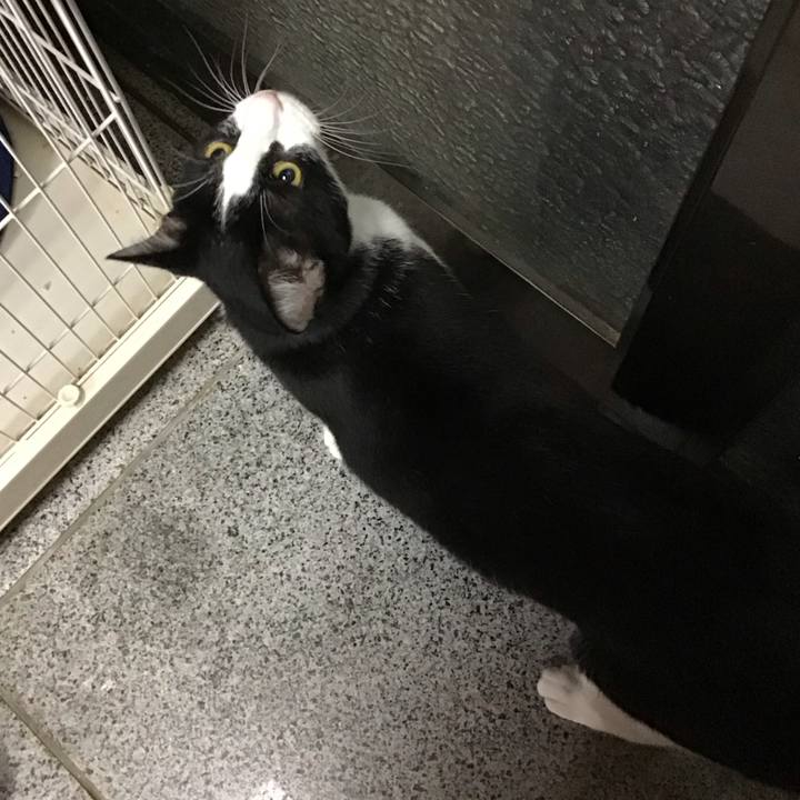 De10b9aa b6b0 4076 8316 a36440832eb2 1694346537420