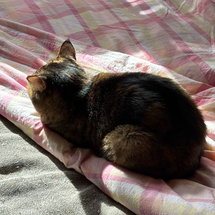 De10c63c 2a3b 4226 b39a 0ab5a2974336 1737777340996