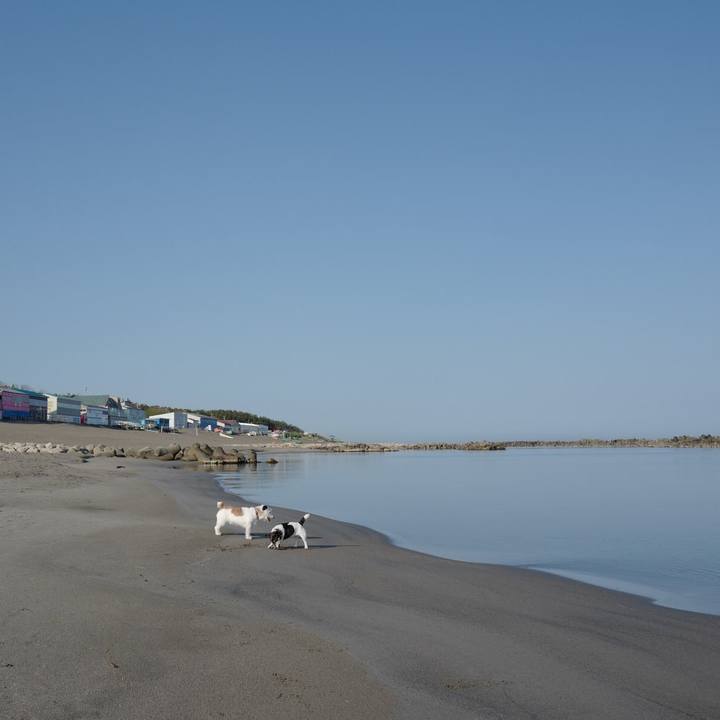 De10e940 74cc 425f bdca e71a89bdf479 1557892132061