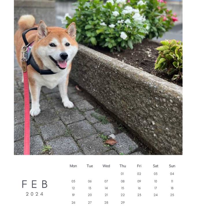 De115e9c a817 492a b5b6 5b3d9cb9eb78 1706740772205