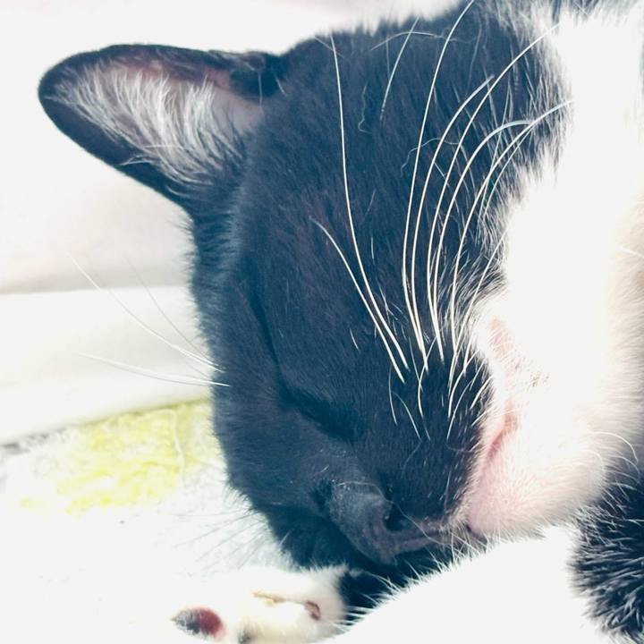 De11b1ca 4b56 479f 854e c75fcc922b79 1759152411693