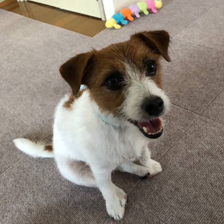 De11d53e 7e6a 41b3 8b4c 7e45163bf014 1543532570846