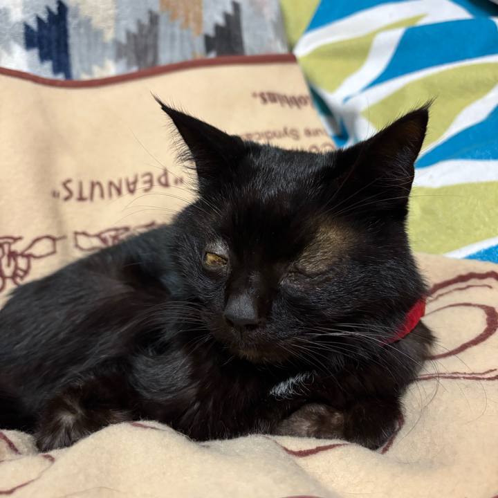 De11fc07 8b6b 43e2 8740 1de08b95e57d 1737543555100