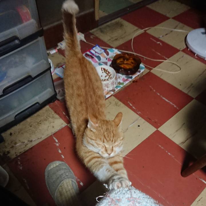 De1244b4 e811 4b57 83df 7810b0aa70ce 1593805704843