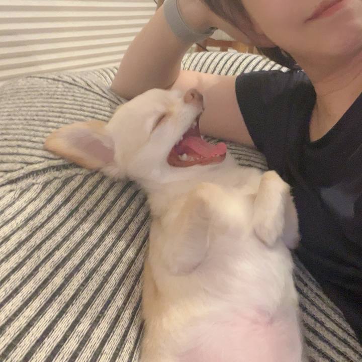 De1260fc 6aa2 4c4e 8d01 77f1c9c82df1 1722602914561