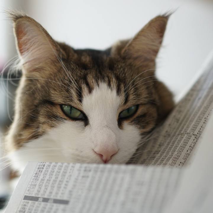 De126a40 bdad 430a 9a2f c5cb0a915174 1574222307478