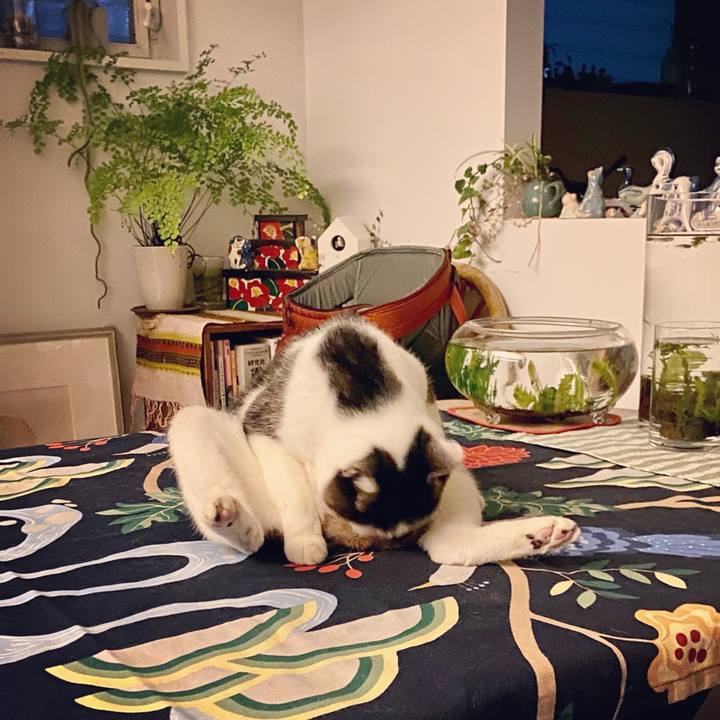 De127d4b 796a 422d 8368 dde159d938f0 1609158638622