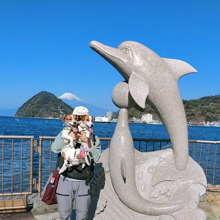 De1296f3 b147 4cc3 8309 85bcc7162c30 1768564102440