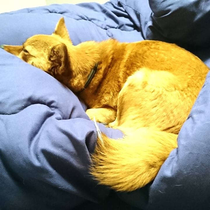 De12977d 1a03 4787 b686 8059bfc80b06 1520341748056