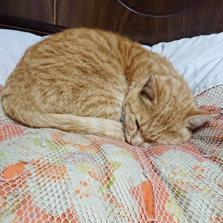 De129ffb 5a80 4244 b51c e4221a80d789 1585224052091