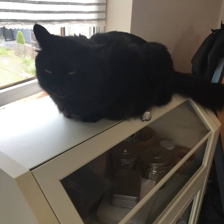 De12e7bf 8a19 40d3 8363 0aa5dc59e494 1531888874924