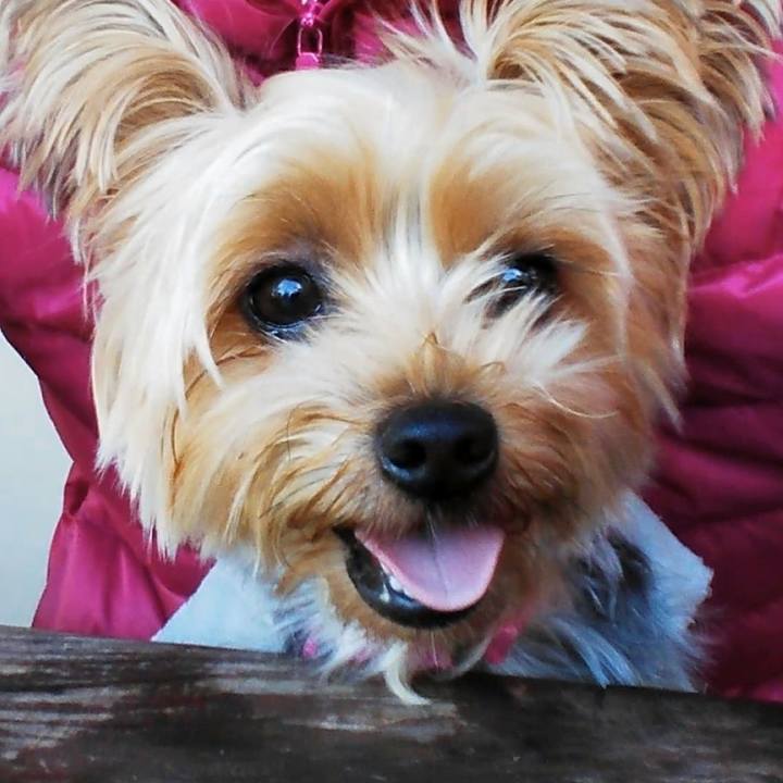 De1341d5 5af8 43be b660 b61e8d48184f 1607165870740