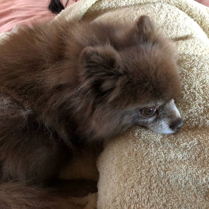 De1341fc 72cf 4f5b 8197 a338848f2274 1603715791226