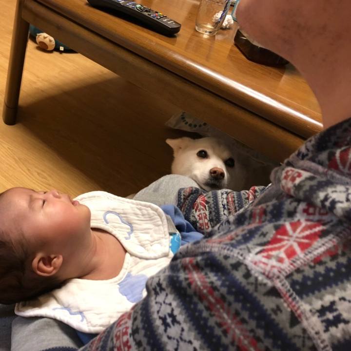 De13a593 f64d 4473 8830 40e64568e472 1584530337447