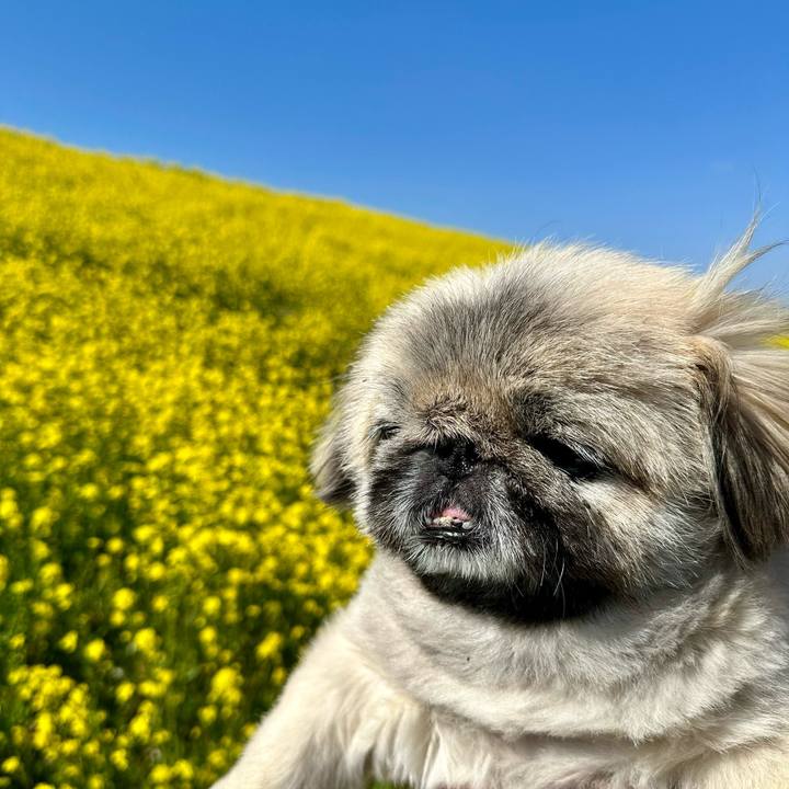 De13c238 f0aa 447d b6e2 331c08a6bfce 1773030395236