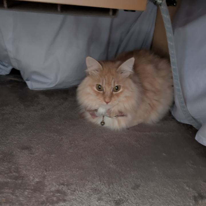 De13d211 8c22 452e 8209 95a27cb5c869 1738142606721