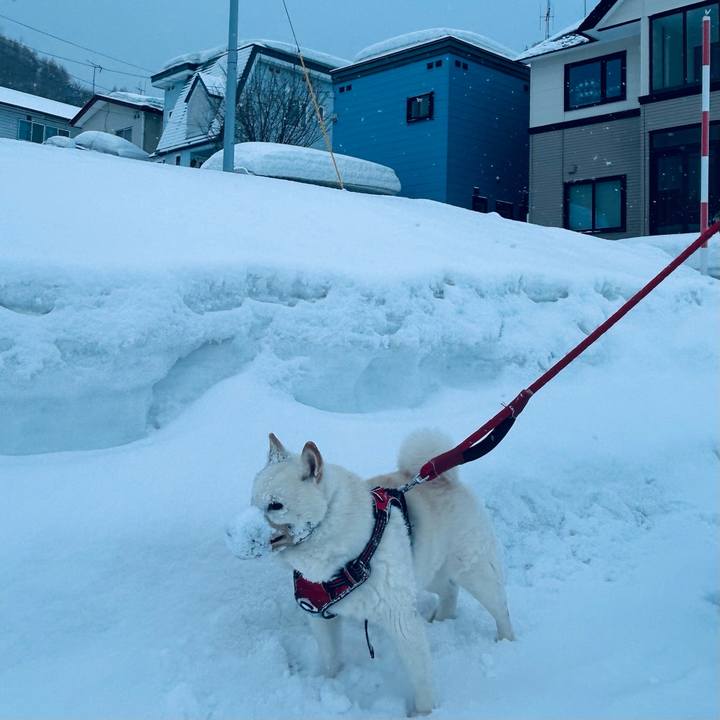 De1415c9 a1ec 4c08 965e 07fe9b6881e3 1771887226778