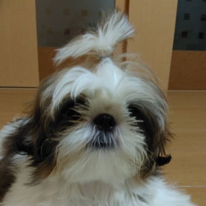 De142296 ded6 40a5 bbd8 55e94c1daa7e 1537532476824