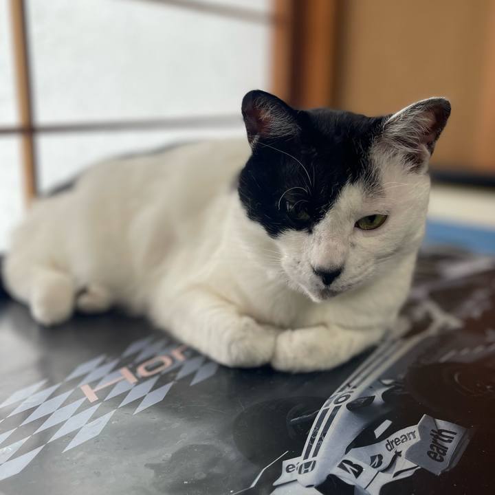 De145f2c bbf9 4953 b03a 87bb367362ee 1651812390630