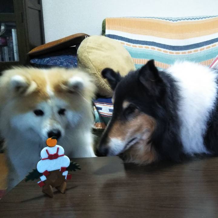 De1493ab 5567 438c b26c b2d98884cc48 1609592273309