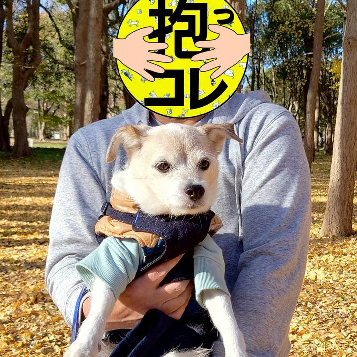 De1496f5 4edc 4fa7 ac71 c3f31d6ddc64 1765373370145