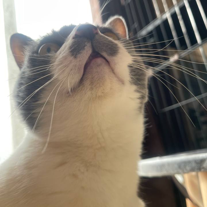 De149a5f 7596 4721 9557 bb4623e07005 1738284905553