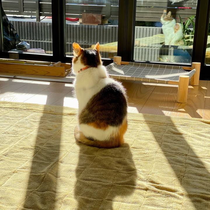 De14a39c 2450 4c40 9cde 6ffcdff198df 1677368774779