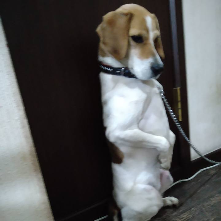 De14a76d a3f1 4278 8cac c4e5c7313f75 1620655864216