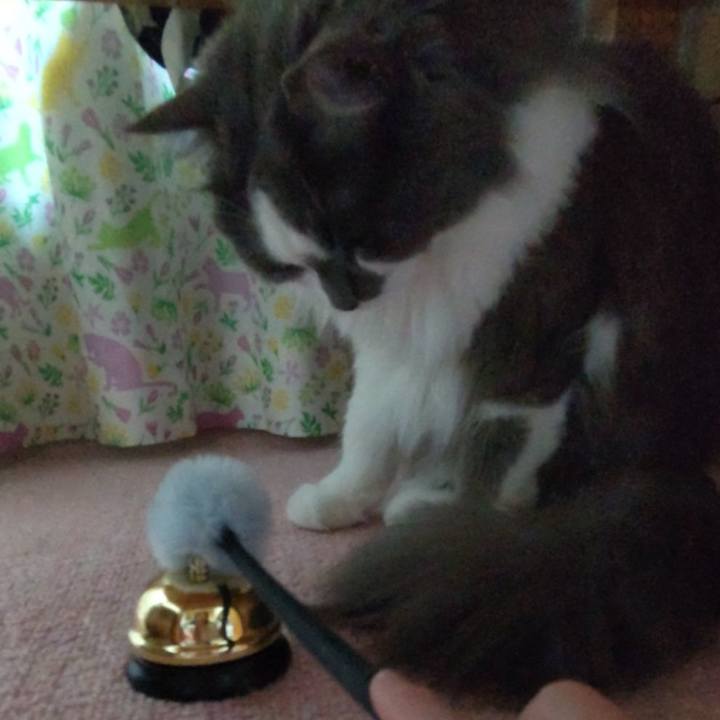 De14aaba d4e5 4705 acb1 91c858b58e70 1654318704401